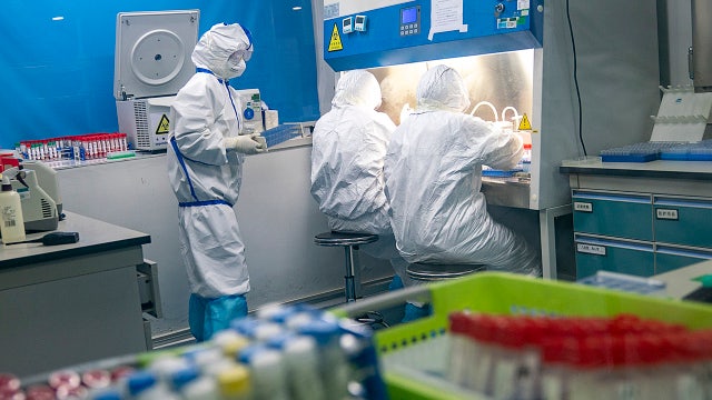 Virus-fueled conspiracy theories take hold