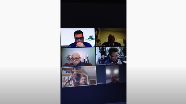 City official resigns after throwing cat during Zoom meeting