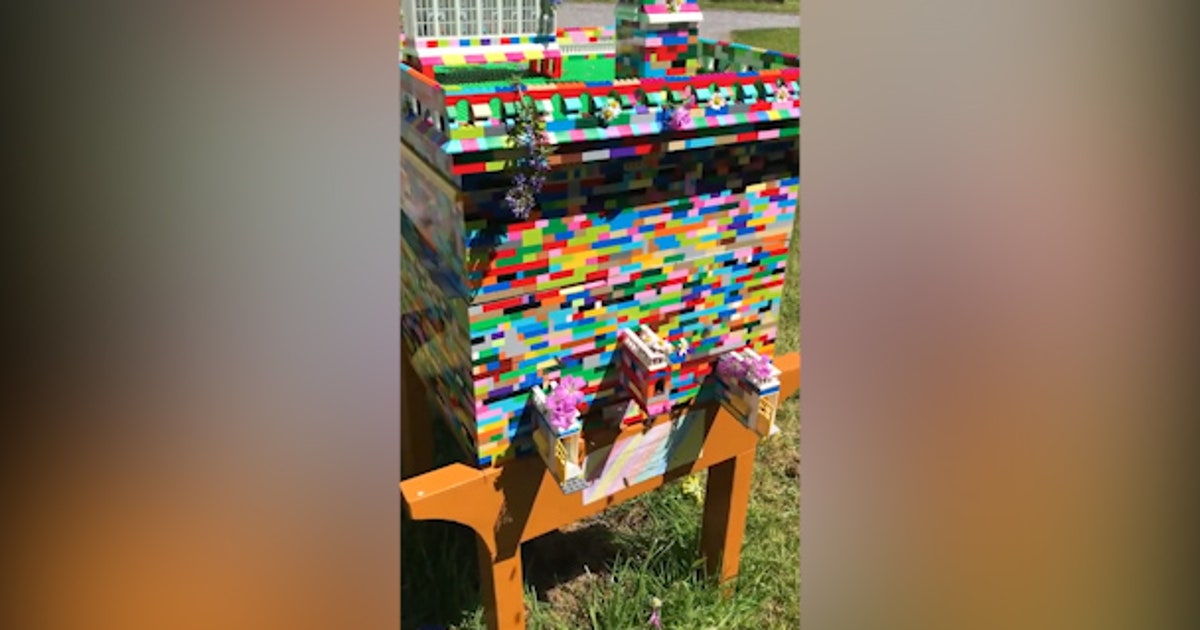 Un-bee-lievable! Beekeeper builds fully functioning beehive entirely out of LEGOs | FOX 5 New York