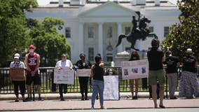 Trump claims protesters in DC risked facing 'vicious dogs'