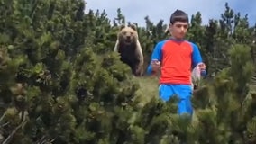 Nail-biting video shows boy’s close encounter with brown bear during hike in Italian mountains