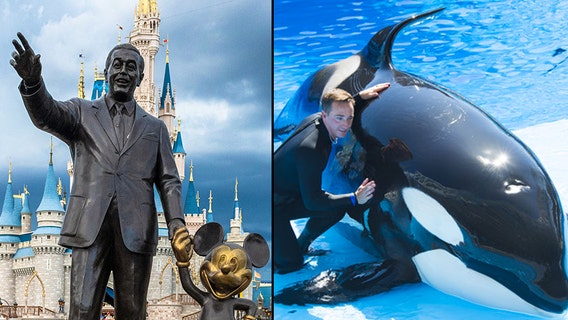 Orange County gives green light for Disney, SeaWorld to reopen; still needs governor's approval