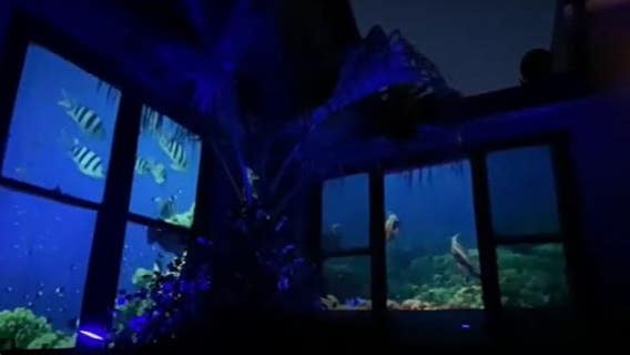 Family turns home into aquarium for grandma with dementia