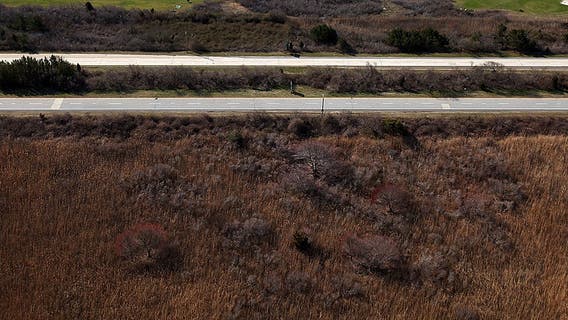 Police: Remains IDed in Long Island serial killer case