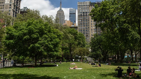 When should New York City reopen? Cuomo: It's my call