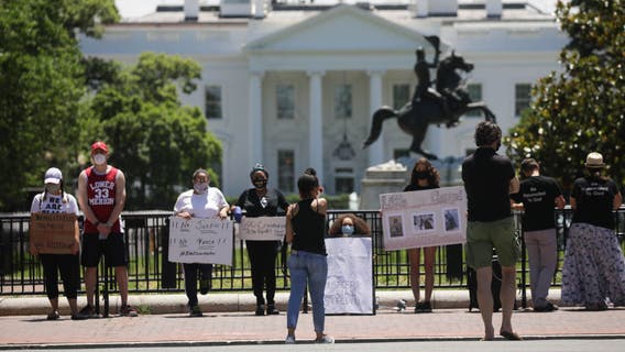 Trump claims protesters in DC risked facing 'vicious dogs'