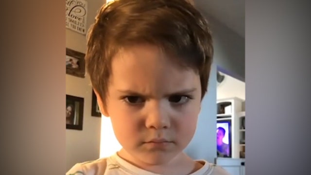 ‘I really need a haircut’: 4-year-old’s adorable plea for a trim captured on video