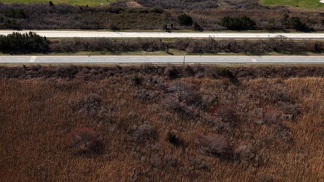 Police: Remains IDed in Long Island serial killer case