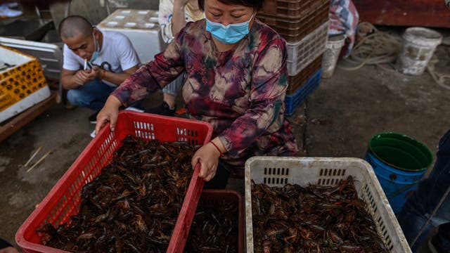 Live animal markets should stay open, says WHO