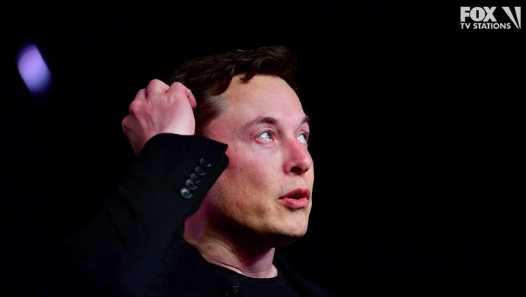 (FILES) In this file photo taken on March 14, 2019 Tesla CEO Elon Musk speaks during the unveiling of the new Tesla Model Y in Hawthorne, California. (AFP / Frederic J. BROWN via Getty)