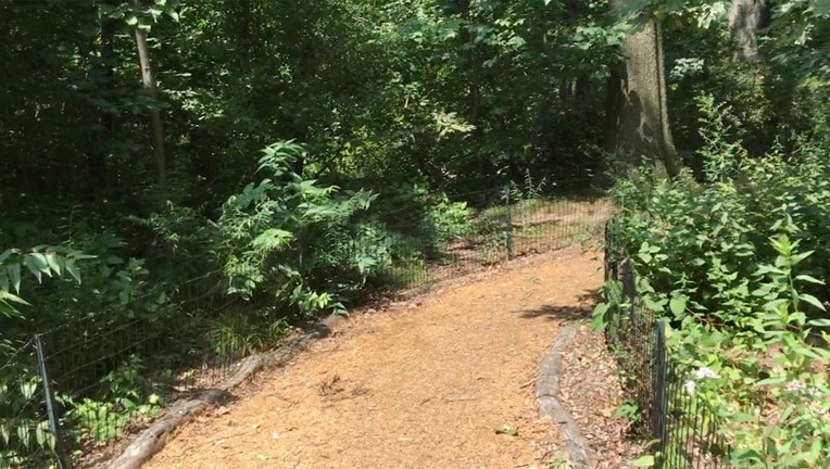 A dirt path and greenery in Central Park