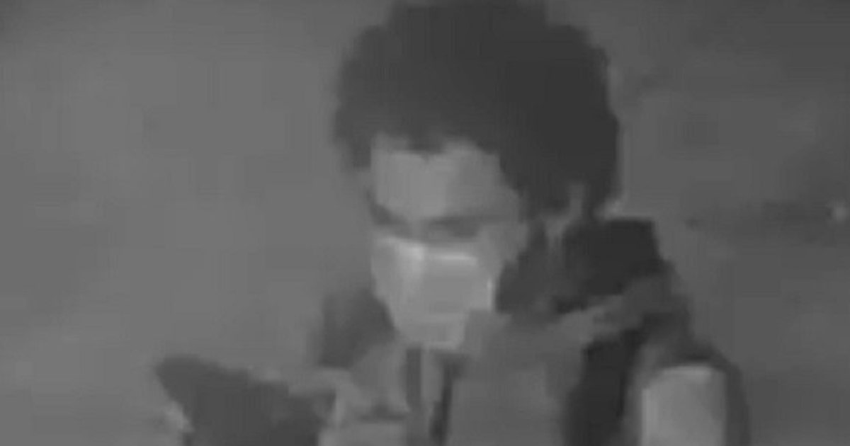 Feds release suspect in torching of NYPD car | FOX 5 New York