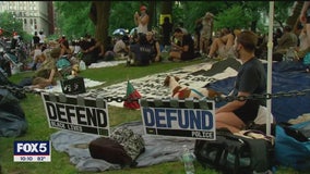 Protesters gather at New York City Hall to demand police cuts