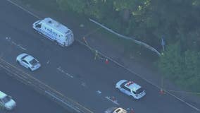Burned body found in the Bronx off highway