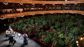 Barcelona opera house fills seats with 2,292 plants in first concert since coronavirus lockdown