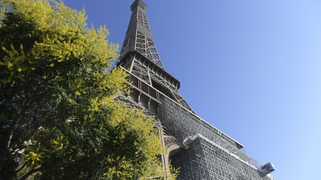 Eiffel Tower reopens after 104-day coronavirus shutdown