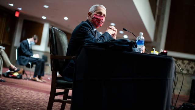 Fauci: US could reach 100,000 new coronavirus cases a day 'if this does not turn around'