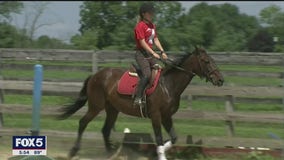 Sanctuary for retired racing horses in NJ in need of financial help