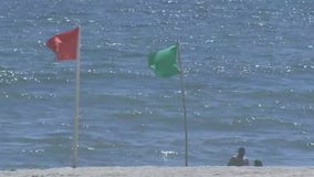 More sharks spotted along south shore of Long Island