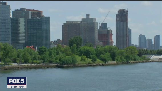 Residents push to save hundreds of trees on Roosevelt Island