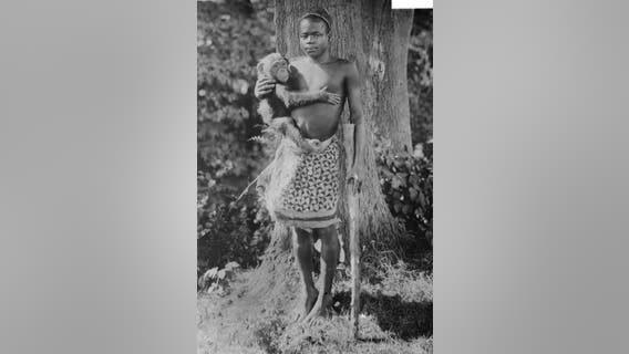 Wildlife Conservation Society apologizes for putting man on display in Monkey House in 1906