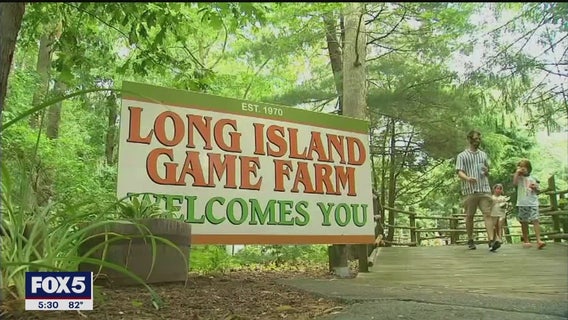 Long Island enters Phase 4 of reopening