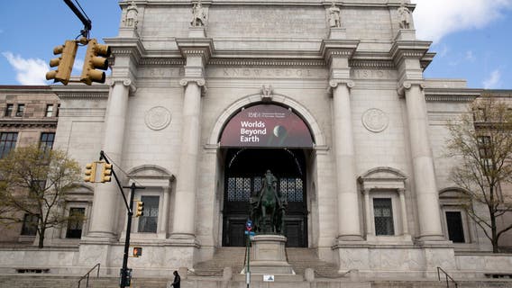 American Museum of Natural History outlines reopening plans