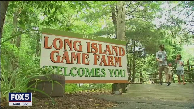 Long Island enters Phase 4 of reopening