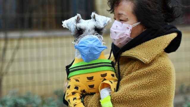 Household dog tests positive for coronavirus after owner infected