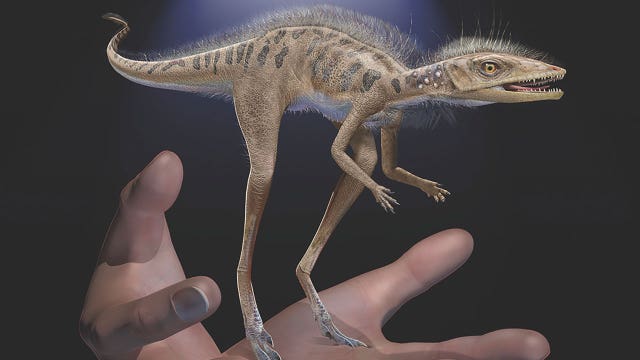 Fossils reveal pocket-sized dinosaur forerunner