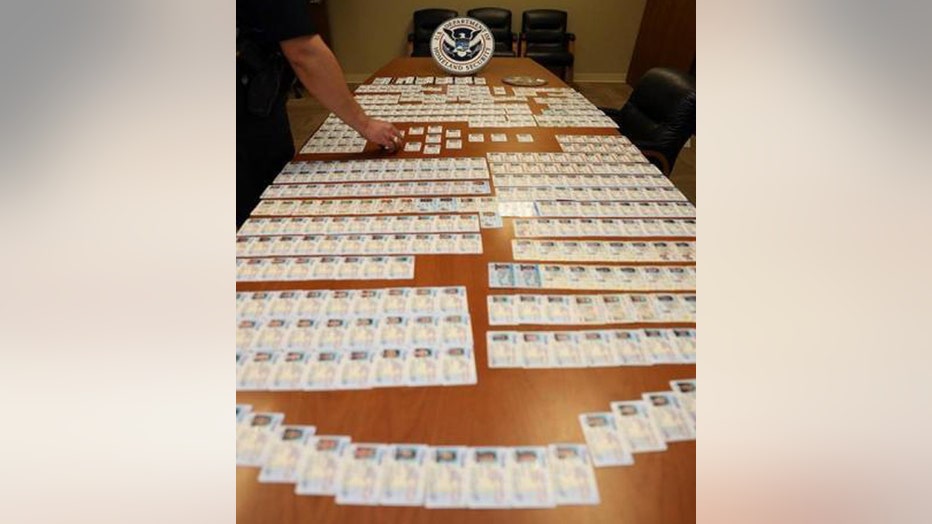 Dozens if fake IDs on display on a table