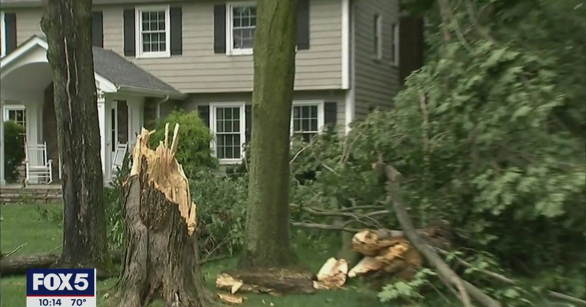 Fast-moving storm tears down trees in New Jersey | FOX 5 New York