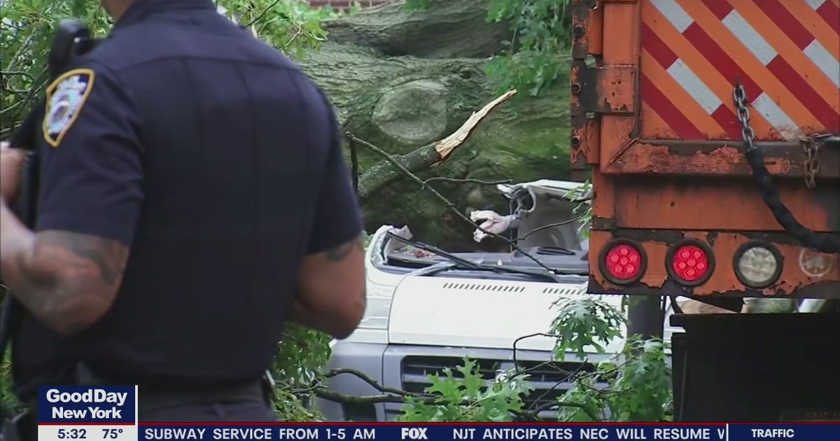 Man killed by tree in Queens during storm | FOX 5 New York