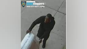 Team of thieves wanted in 43 incidents across New York City