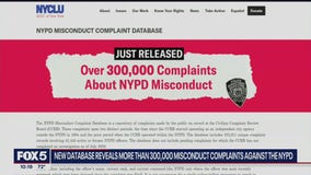 Court lets public see complaint data on 81,000 NYPD officers