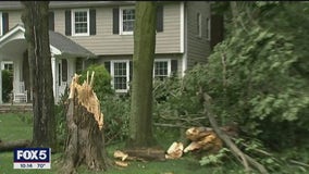 Fast-moving storm tears down trees in New Jersey