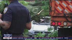 Man killed by tree in Queens during storm