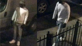 Video shows gunman shooting unsuspecting victim in Brooklyn: NYPD