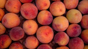 Salmonella outbreak linked to peaches expands to 12 states