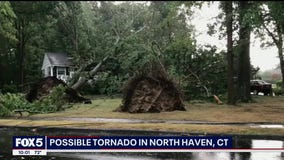 Tornadoes confirmed to have downed trees, damaged buildings in CT and NY