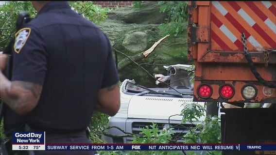 Man killed by tree in Queens during storm