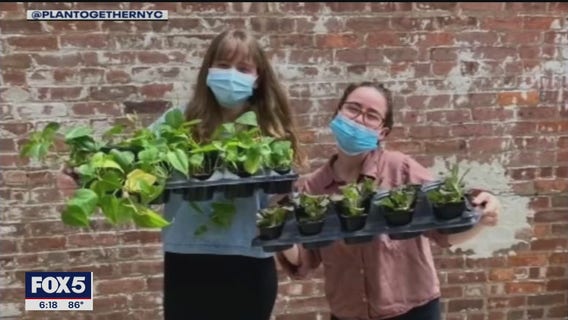 Brooklyn women use plants to reach out to seniors across NYC