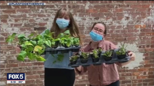 Brooklyn women use plants to reach out to seniors across NYC