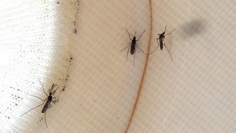 Health Officials Expect Active West Nile Season