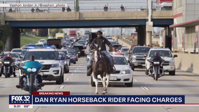 Man seen riding horse on Dan Ryan faces multiple charges
