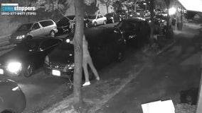 VIDEO: Gunman shoots, wounds man sitting inside car in the Bronx