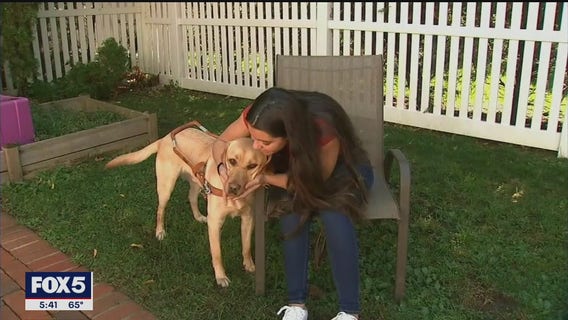Blind athlete aims for Tokyo with new guide dog by her side