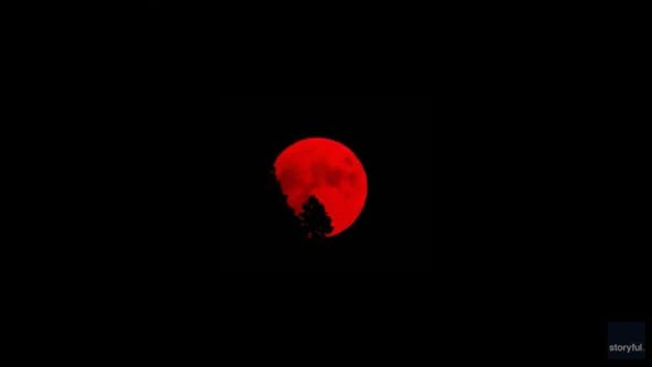 Blood red moon: Wildfires cause moon to glow red over California