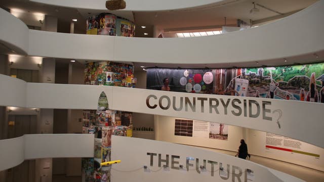 Guggenheim Museum reopens to visitors