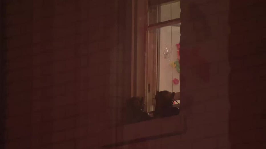 Bullet holes are seen in the window of a Trenton home where two children were killed.